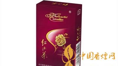 紅山茶紫市值多少錢？紅山茶紫口味如何？