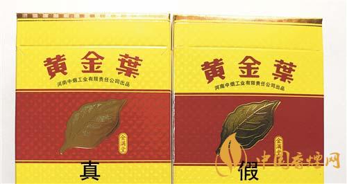 如何辨別黃金葉金滿堂真假？2020黃金葉真假辨別詳情對比