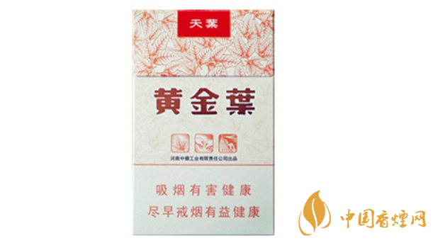 黃金葉天葉真?zhèn)卧趺幢鎰e？天葉真假如何看？