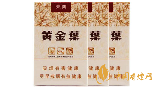2020黃金葉天葉怎么樣？黃金葉大小天葉有什么不同