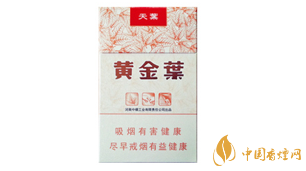 黃金葉天葉真假怎樣區(qū)分？黃金葉天葉真假識(shí)別