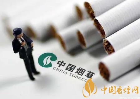 2020將通過(guò)提稅和漲價(jià)來(lái)控?zé)?維護(hù)公共場(chǎng)所健康！