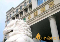 國家發(fā)話了：煙草系統(tǒng)腐敗制度不夠透明必須整治！