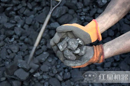 煤炭破碎用什么破碎机效率高 投资少 收益高
