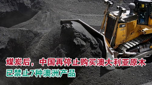 煤炭后,中国再停止购买澳大利亚原木,已禁止7种澳洲产品